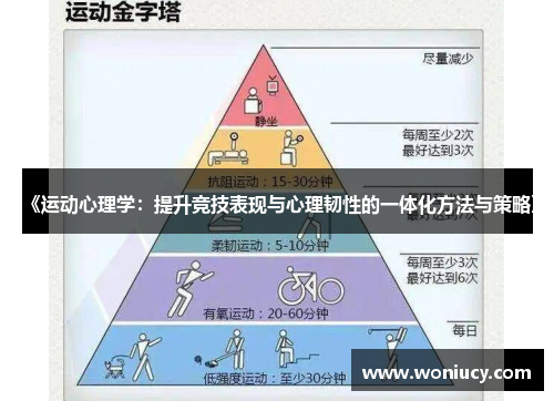 《运动心理学：提升竞技表现与心理韧性的一体化方法与策略》