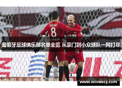 葡萄牙足球俱乐部名单全览 从豪门到小众球队一网打尽