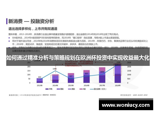 如何通过精准分析与策略规划在欧洲杯投资中实现收益最大化