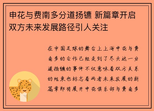 申花与费南多分道扬镳 新篇章开启 双方未来发展路径引人关注